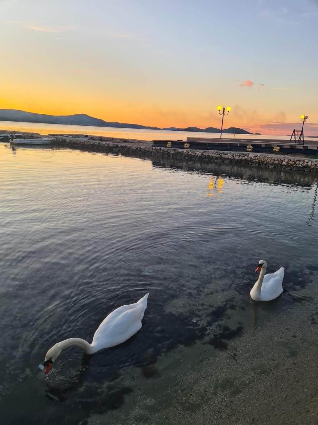 Villa Sorriso Sveti Filip i Jakov Esterno foto